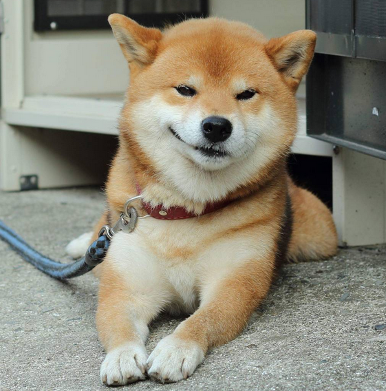 队伍筹款排行榜